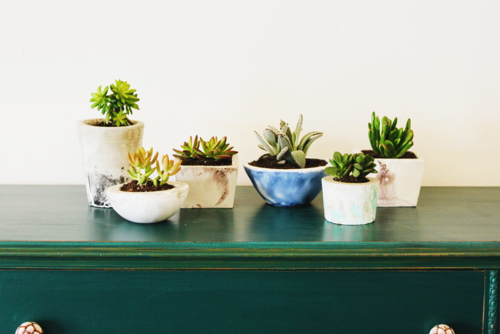 DIY Succulent Planters