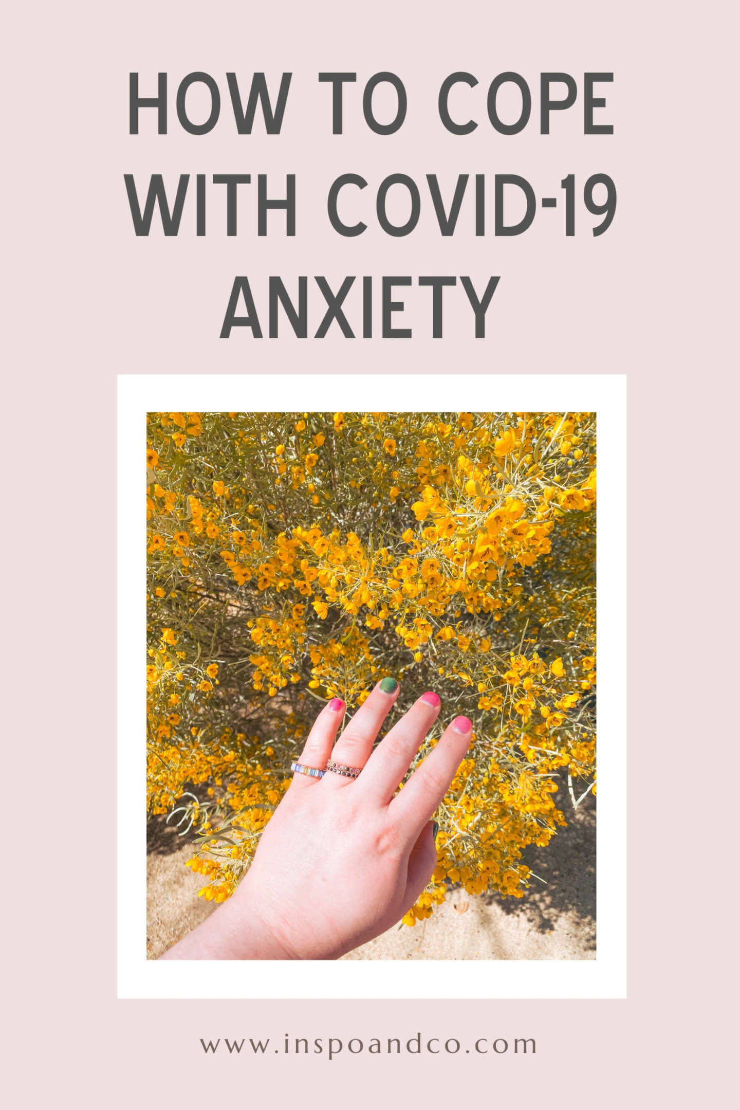 how to cope with covid-19 anxiety